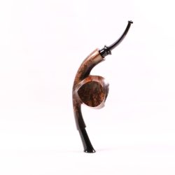 Sandi Yuda: Cavalier Blowfish